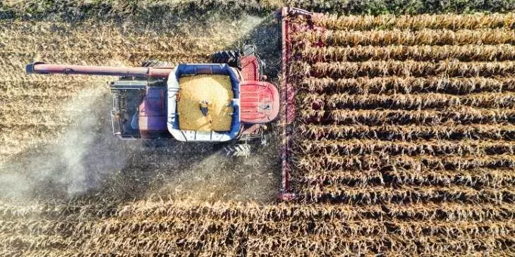 Dívida de custeio agrícola o que fazer quando não consegue pagar o banco